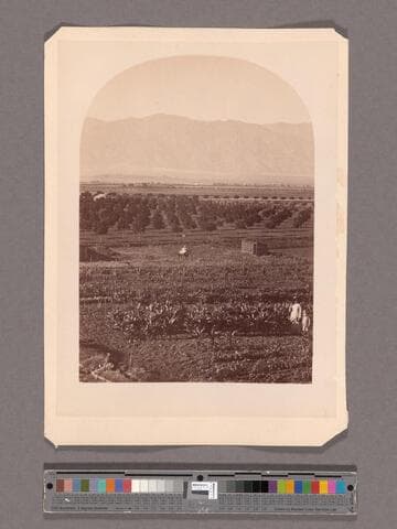 Pasadena, from residence of Mrs. Carr