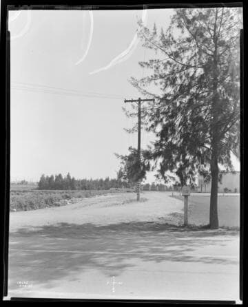 A1.2 - Accidents - Harold Turk accident