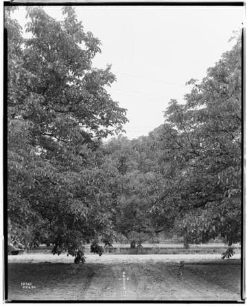 A1.2 - Accidents - Briggs & Keller accident, Covina