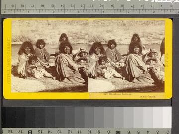 342. Shoshone Indians