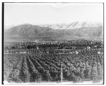 View of Redlands from Smiley heights