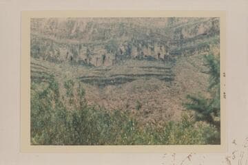 Holes in Muav; east side lower Separation Canyon. Spring in creek bed