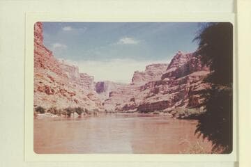 Up river from the upper end of the beach at Rapid No. 43, Mile 184.5. The side canyon just left of center is Cove Canyon at Mile 186.2