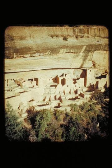 Cliff Palace. Mesa Verde