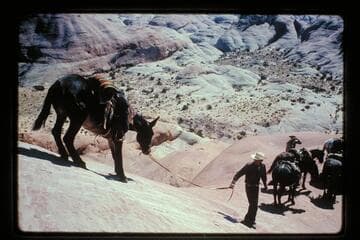 Down from ledge into basin north of Sid Whiskers Butte