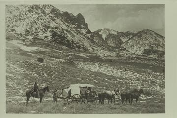 Charles Gibbons' white-top buggy at Mt. Pennell Pass--probably going to dredge. This is the road to the dredge which was built by Stone and Stanton. Copy of print in Gibbons' album. Cunningham and Gibbons