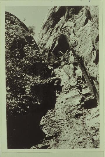 Trail through Red Bud Pass. Climbing from Bridge Canyon