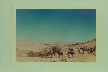 On saddle between Bald Rock Creek and Nasja Creek. The Henry Mountains in distance