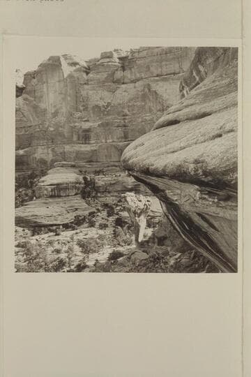 Mushroom and bridges in Pegasus Canyon. North side of the Abajo Mountains