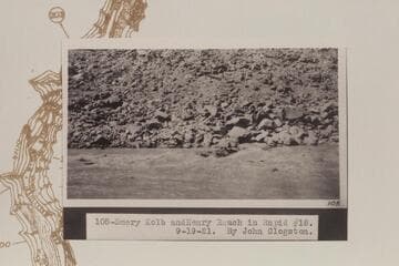 Emery Kolb and Henry Rauch. Rapid #18