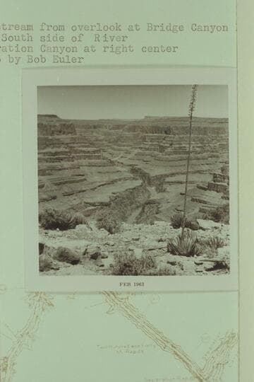 Downstream from overlook at Bridge Canyon Dam Site from south side of river. Separation Canyon at right center