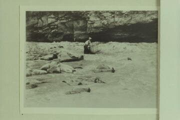 Lining of the Kolb boats at Lower Disaster Falls. Extreme low water