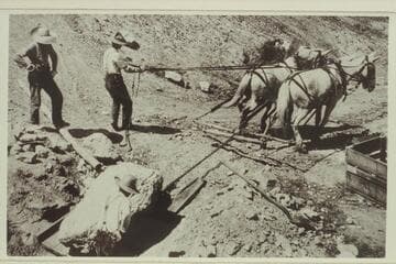 Carnegie Museum crew hauls plastered dinosaur bone to boxing area; Dinosaur National Monument
