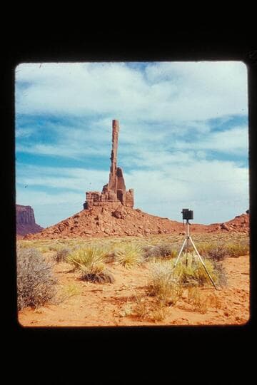 Totem pole and camera