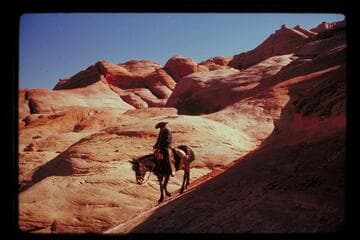 Trail from Black Water Creek to Moepitz