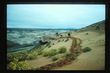 Trail down rim at Hell Hole