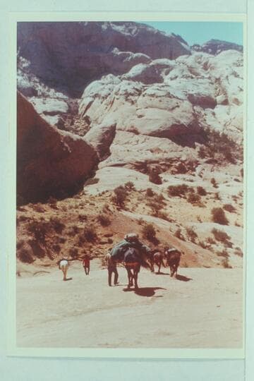 Down into head of northeast fork of 73. The mule bucked at the top of this sloping slick rock