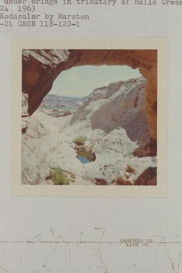 Down under bridge in tributary of Halls Creek near Baker Ranch