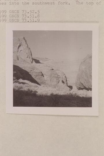Down the middle fork of 73 from a short distance below camp. The stream undercuts the tight wall. Above and to left of center is edge of mesa over which trail goes into southwest fork