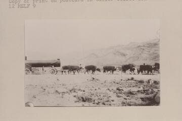 Ox team hauling boiler from Marysvale to Lees Ferry for the Spencer operations