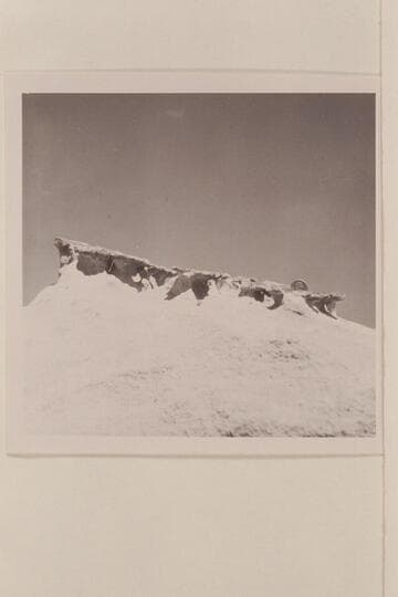 Teeth due to wind erosion. Butte 5014