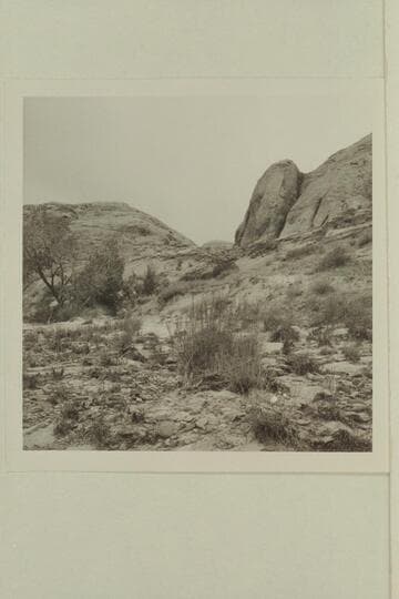 Side canyon of southwest fork of 73.6 which provides an access. Anasazi camp sites are located here