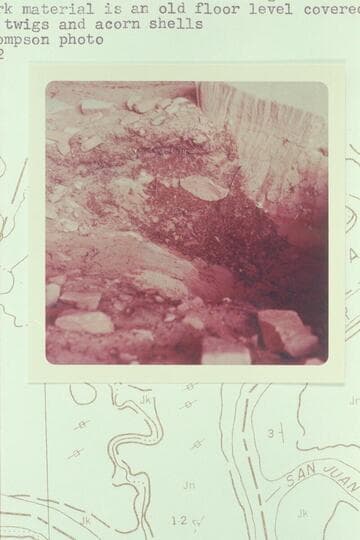 Basket Maker Cave above Hidden Passage Bar. The dark material is an old floor level covered with oak twigs and acorn shells