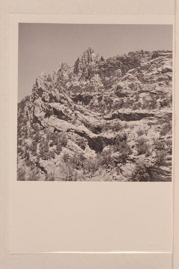 Up-ended strata at head of Whirlpool Canyon; left bank. Mile 223