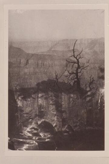 Canyon of the Kaibab. Best Expedition after they left the river at Lees Ferry. Copy of print in Edwards collection