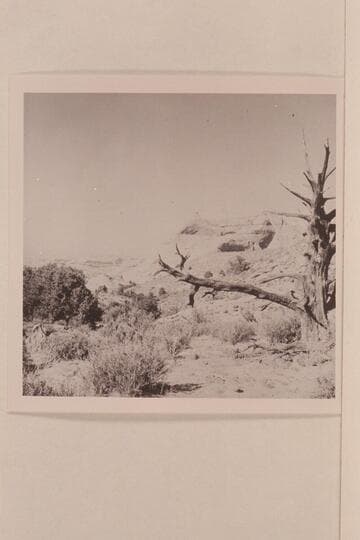 Cha Butte. VABM 5442. From the trail to Rainbow Bridge near Bald Rock Creek