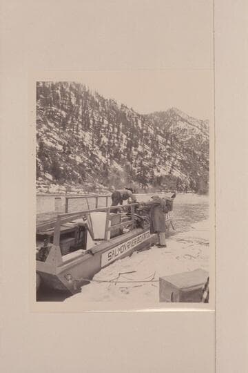 Loading Don Smith's sweep-scow at Shoup, Idaho
