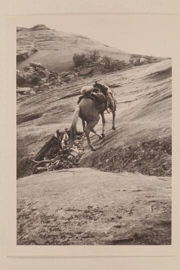 Up the slickrock trail to the west of Nasja Creek