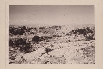 Across the San Juan and Colorado Rivers to the Henry Mountains. From southwest mouth of Nasja Creek on plateau