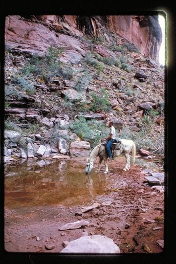 Lex Lindsay waters his horse in Carneba Cave