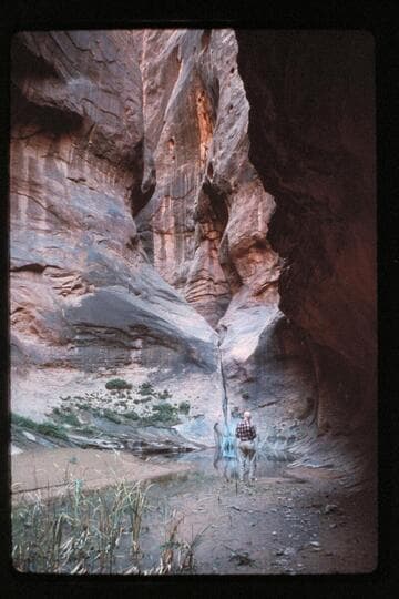 Ballard at pool in Anasazi Canyon