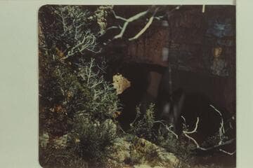 Bridge in the Redwall near beginning of the Redwall, 60 ft. wide. Muav Canyon, a tributary to Shinumo Canyon