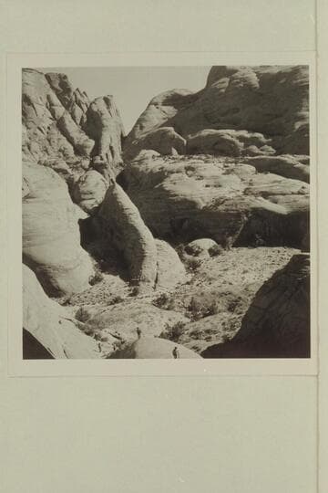 Back into middle fork of 73.6 from trail into southwest fork