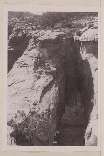 Top of bridge found in upper part of Little Finger Canyon, Navajo Canyon. Masland is proposing the name, "Whitehat Bridge."