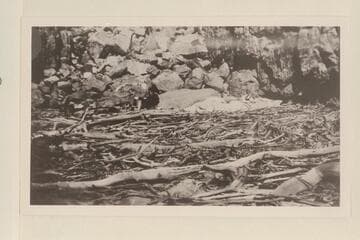 Bessie Hyde at the last camp near Granite Park, Grand Canyon. Thanksgiving Day. Print from film roll found in the Hyde camera in the scow at Gneiss Rapid, Mile 237.The camp was approximately Mile 211