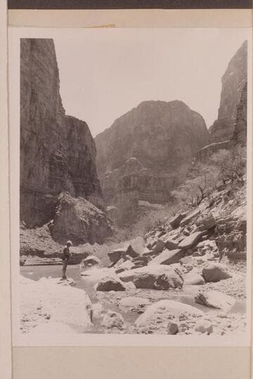 Kanab Creek; Mile 143 1/2. Lagoon backed into mouth of Kanab Creek