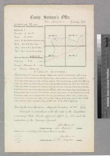 Salt Marsh Tide Swamp & Overflowed Lands