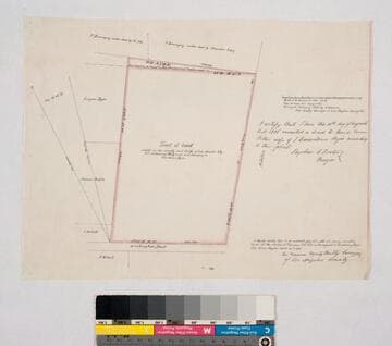 Tract of land. containing 49 82/100 acres and belonging to Crisostomo Bejar