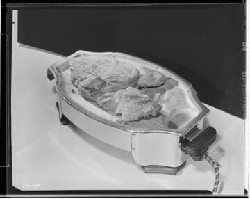 Rival grill server with meat