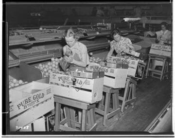 L1.8 - Lighting, Packing Plants - Santa Ana-Tustin Citrus Association