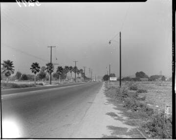 Street lighting along a rural road