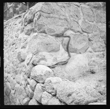 Bishop Creek Hydro Plant #2