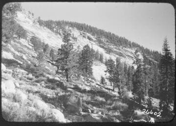 Fish Valley