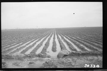 Vincent Transmission Line