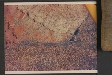 Dripping Springs in Hermit Canyon