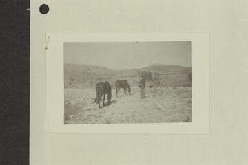 Stone's visit to Glen Canyon